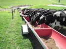 Palm Kernel Feed Troughs